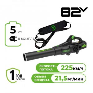 Изображение GD82ABII Воздуходув Greenworks 2407007UB