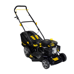Изображение Бензиновая газонокосилка CHAMPION LM4622